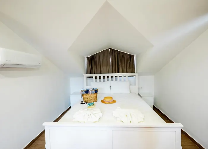 Lidya فيلة داليان