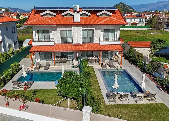 Lidya فيلة داليان