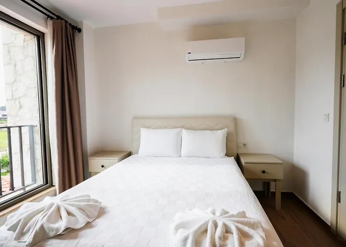 Lidya فيلة داليان