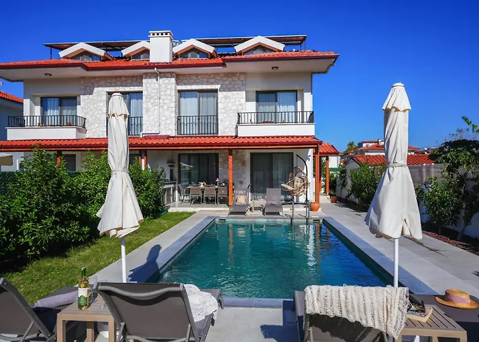 Lidya فيلة داليان